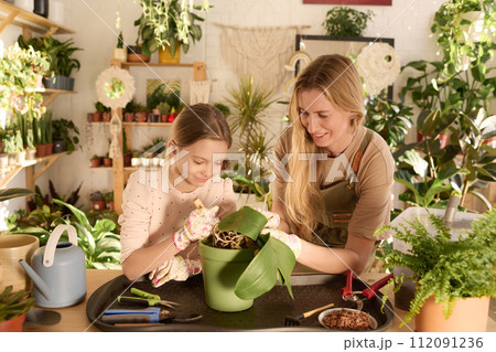 Medium shot of Caucasian woman and her daughter standing at table taking care of houseplant 112091236