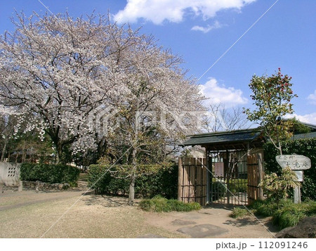 淡いピンク舞う 桜手帖 太田市歴史公園の茶会所 大光庵サクラ咲く(2012.4.9) 1市3町合併後 112091246