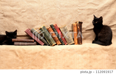 Kittens And Books 112091917