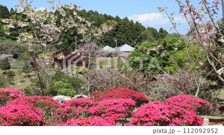 青空背景につつじや桜の咲く公園　静峰ふるさと公園 112092952