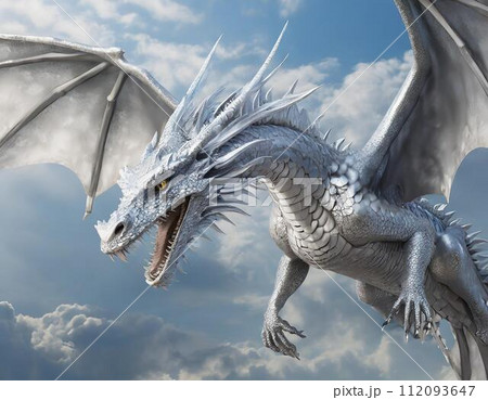 空を翔ける銀色の鱗の龍 112093647