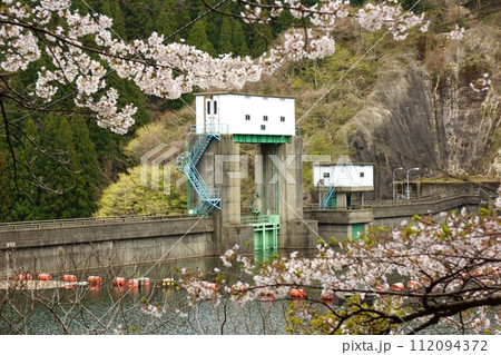 水沼ダムの堤体と桜 水沼ダムの堤体と桜 112094372