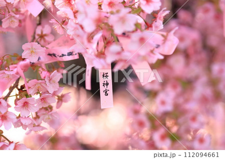 桜神宮 東京都世田谷区 桜神宮 東京都世田谷区 112094661
