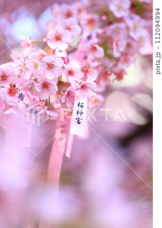 桜神宮　東京都世田谷区 112094994