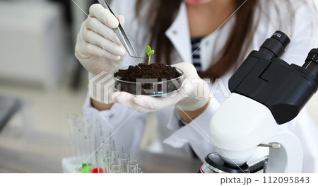 Sprout growing out from soil 112095843