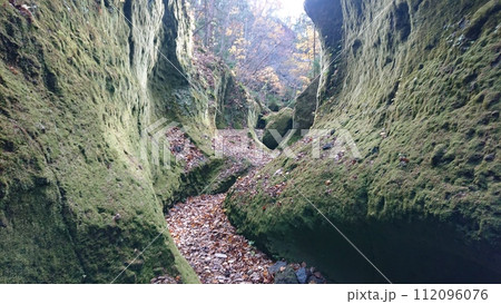 苔の道 112096076