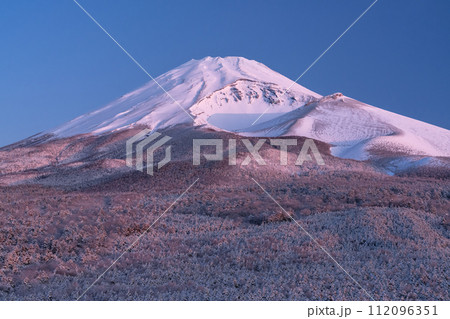 《静岡県》雪景色の富士山の夜明け・腰切塚展望台の眺望 《静岡県》雪景色の富士山の夜明け・腰切塚展望台の眺望 112096351