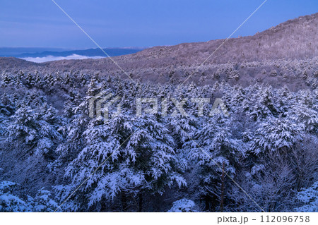 《静岡県》樹氷の森の夜明け・水ヶ塚公園腰切塚展望台 《静岡県》樹氷の森の夜明け・水ヶ塚公園腰切塚展望台 112096758