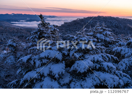 《静岡県》樹氷の森の夜明け・水ヶ塚公園腰切塚展望台 112096767