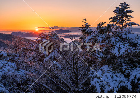 《静岡県》樹氷の森の夜明け・水ヶ塚公園腰切塚展望台 《静岡県》樹氷の森の夜明け・水ヶ塚公園腰切塚展望台 112096774