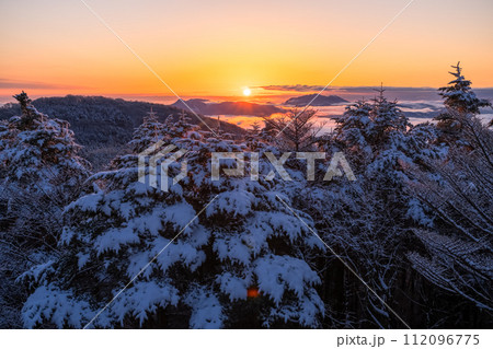《静岡県》樹氷の森の夜明け・水ヶ塚公園腰切塚展望台 112096775