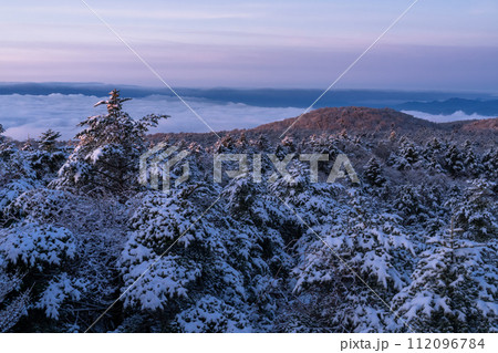 《静岡県》樹氷の森の夜明け・水ヶ塚公園腰切塚展望台 112096784