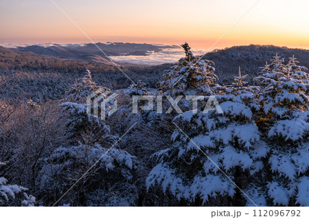 《静岡県》樹氷の森の夜明け・水ヶ塚公園腰切塚展望台 112096792