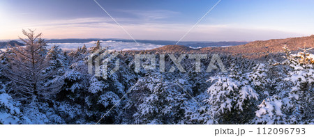 《静岡県》樹氷の森の夜明け・水ヶ塚公園腰切塚展望台 112096793