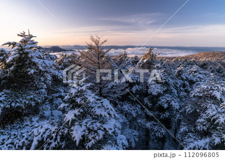 《静岡県》樹氷の森の夜明け・水ヶ塚公園腰切塚展望台 112096805