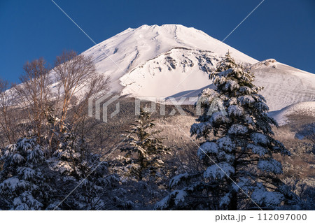 《静岡県》雪景色の富士山の夜明け・水ヶ塚公園の眺望 112097000