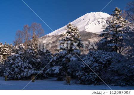 《静岡県》雪景色の富士山の夜明け・水ヶ塚公園の眺望 112097007