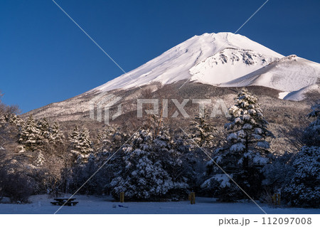 《静岡県》雪景色の富士山の夜明け・水ヶ塚公園の眺望 112097008