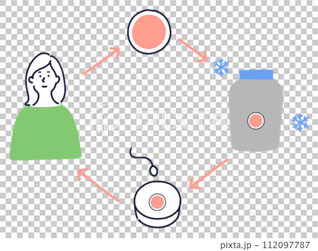 卵子凍結のイメージイラスト 112097787