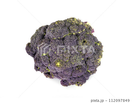 purple broccoli in studio purple broccoli in studio 112097849