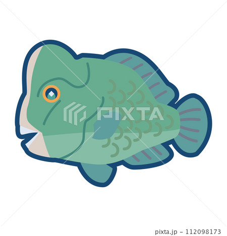 かわいいカンムリブダイのイラスト 112098173