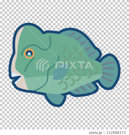 かわいいカンムリブダイのイラスト 112098173