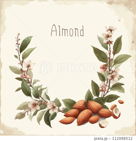 Watercolor almond vintage retro poster design. Vector almond illustration, fruits theme. 112098512