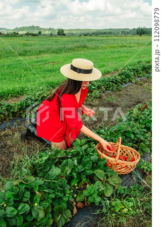 Crop woman put strawberries in basket Crop woman put strawberries in basket 112098779