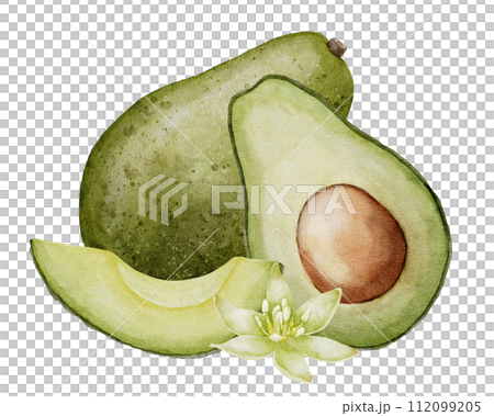 Avocado with flower Watercolor illustration. Botanical drawing of Fruit. Vegetable sketch painting. Vegan organic ecological Food. Hand drawn clipart on isolated background. For print and logo design. Avocado with flower Watercolor illustration. Botanical drawing of Fruit. Vegetable sketch painting. Vegan organic ecological Food. Hand drawn clipart on isolated background. For print and logo design. 112099205