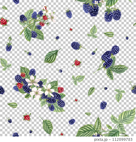 Summer seamless pattern with ripe aromatic Blackberries. Bunches of blackberries. Forest and garden berries. Dewberry, bramble. Watercolor illustration for wrapping, poster, package Summer seamless pattern with ripe aromatic Blackberries. Bunches of blackberries. Forest and garden berries. Dewberry, bramble. Watercolor illustration for wrapping, poster, package 112099783