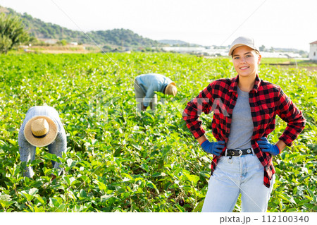 Successful young female farmer standing on plantation of eggplants during harvest Successful young female farmer standing on plantation of eggplants during harvest 112100340
