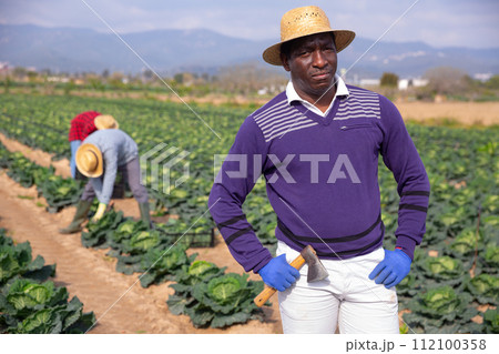 Closeup portrait of African American farmer on vegetable plantation 112100358