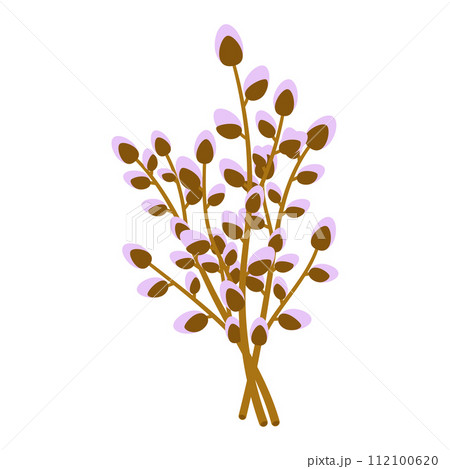 pussy willow branches 112100620