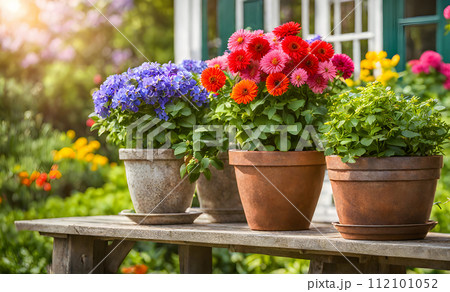 An array of terracotta flowerpots cradling an assortment of colorful flowers, captured with a shallow depth of field 112101052
