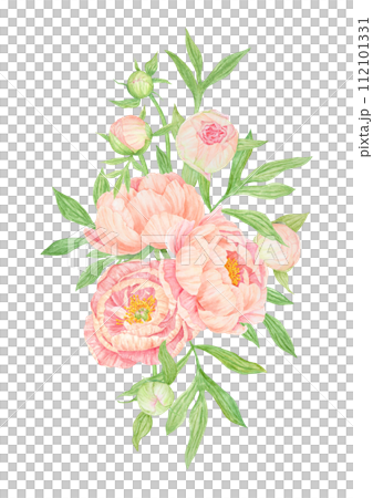 Peach peony bouquet watercolor hand drawn painting. Chinese national symbol illustration. Realistic flower clipart, floral arrangement for card design, wedding invitation, prints, textile, packing 112101331