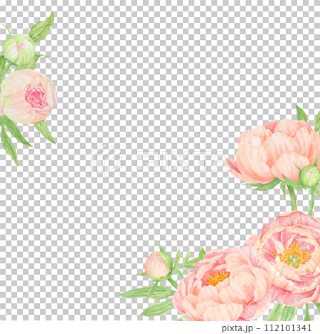 Peach peony bouquet watercolor hand drawn frame. Chinese national symbol illustration. Realistic flower clipart, floral arrangement for card design, wedding invitation, prints, textile, packing Peach peony bouquet watercolor hand drawn frame. Chinese national symbol illustration. Realistic flower clipart, floral arrangement for card design, wedding invitation, prints, textile, packing 112101341