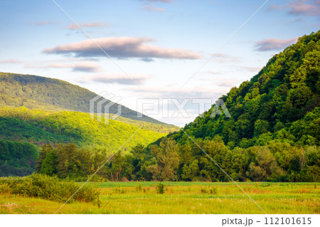 carpathian countryside scenery in spring. mountainous rural landscape of ukraine with grassy field between forested hill beneath a blue sky with fluffy clouds in morning light carpathian countryside scenery in spring. mountainous rural landscape of ukraine with grassy field between forested hill beneath a blue sky with fluffy clouds in morning light 112101615