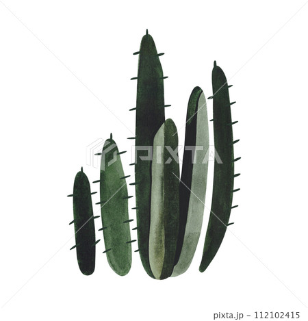 Cactus. Plants for the home. Floriculture. Desert flora. Isolated watercolor illustration on white background. Clipart. Cactus. Plants for the home. Floriculture. Desert flora. Isolated watercolor illustration on white background. Clipart. 112102415