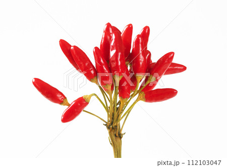 Red chili peppers 112103047