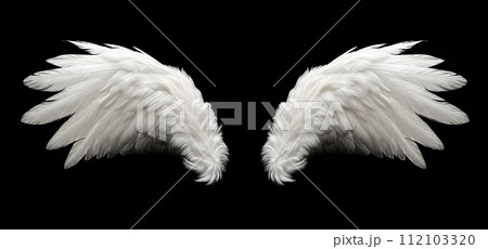 AI-generated content. Angelic White Feathered Wings Isolated on Black 112103320