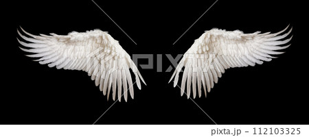 AI-generated content. Angelic White Feathered Wings Isolated on Black AI-generated content. Angelic White Feathered Wings Isolated on Black 112103325