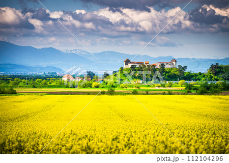 Feldioara, Romania. Spring landscapw with medieval fortress, Transylvania. 112104296