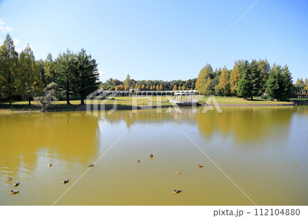 爽やか秋の公園 爽やか秋の公園 112104880