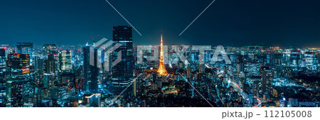 東京都心の夜景をバックにした麻布台ヒルズと東京タワー 東京都心の夜景をバックにした麻布台ヒルズと東京タワー 112105008
