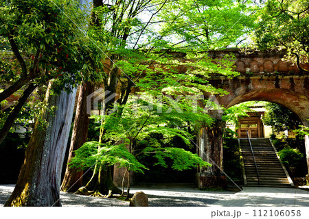 京都市左京区 南禅寺の水路閣と新緑 112106058
