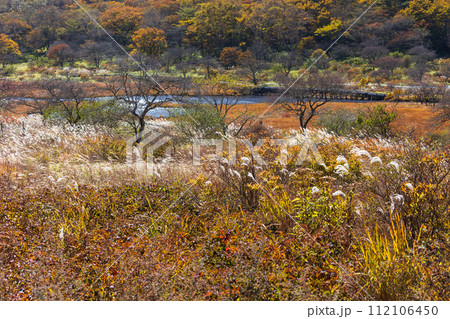 群馬県前橋市の秋　紅葉の赤城山覚満淵 112106450