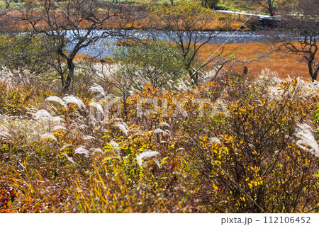 群馬県前橋市の秋　紅葉の赤城山覚満淵 112106452