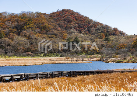 群馬県前橋市の秋 紅葉の赤城山覚満淵 群馬県前橋市の秋 紅葉の赤城山覚満淵 112106468