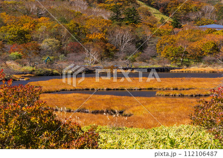 群馬県前橋市の秋 紅葉の赤城山覚満淵 群馬県前橋市の秋 紅葉の赤城山覚満淵 112106487