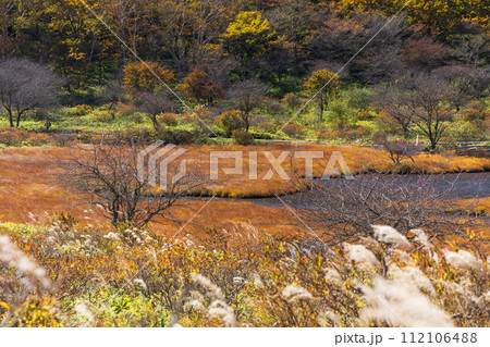 群馬県前橋市の秋 紅葉の赤城山覚満淵 群馬県前橋市の秋 紅葉の赤城山覚満淵 112106488